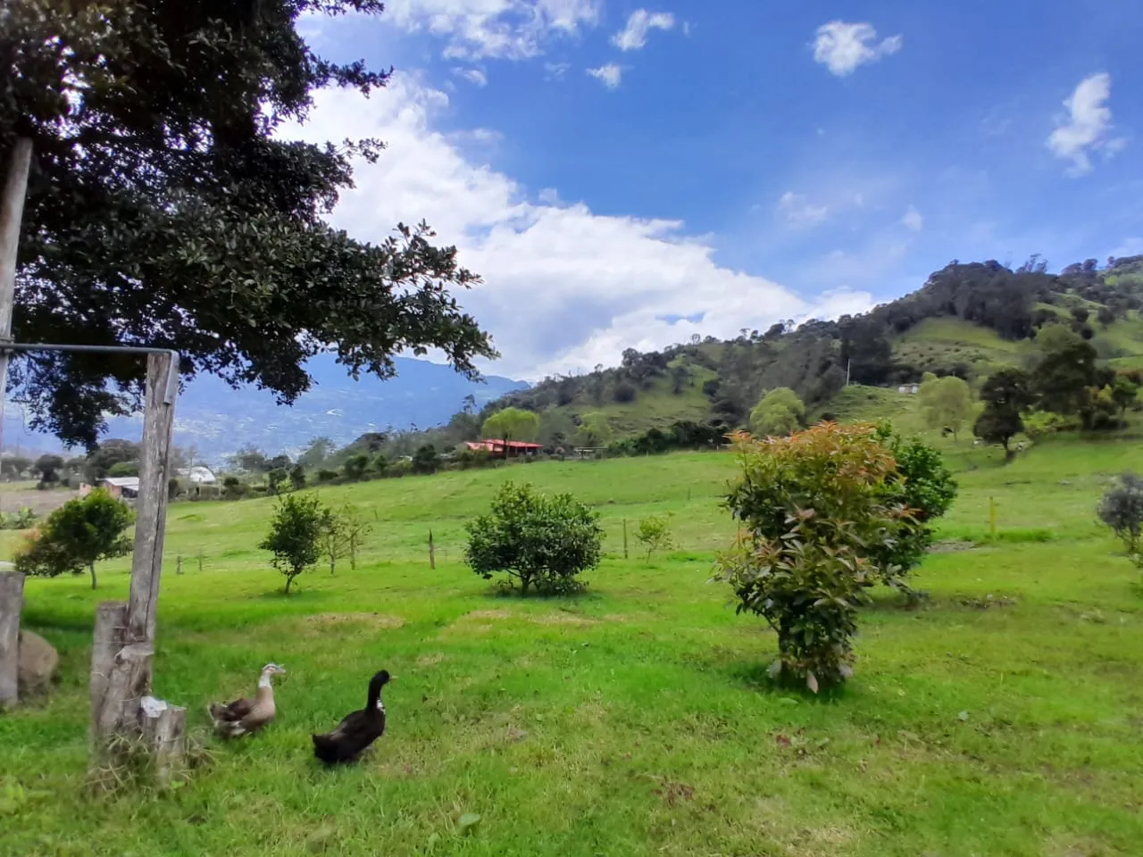 Lote en Venta, rural, Choachi, Vereda la Victoria - 11