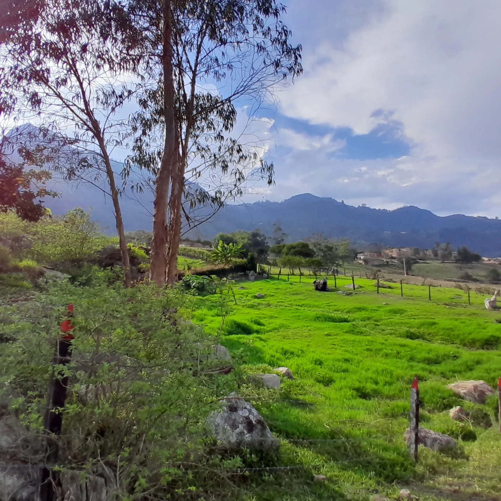 Vendo Lote Urbano, Choachi Cundinamarca - 6