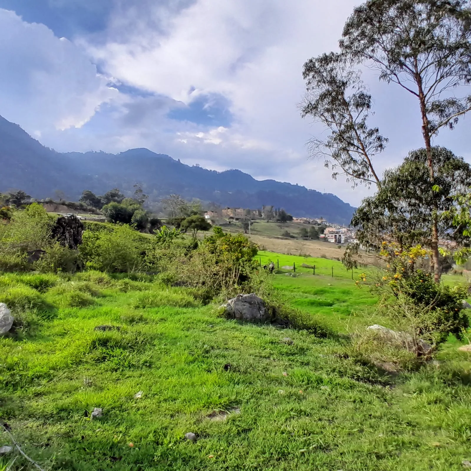 Vendo Lote Urbano, Choachi Cundinamarca - 2