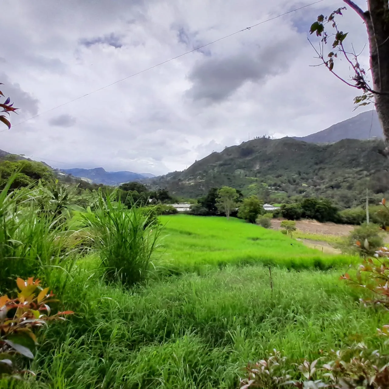 Lote Rural Choachi Cundinamarca - 3
