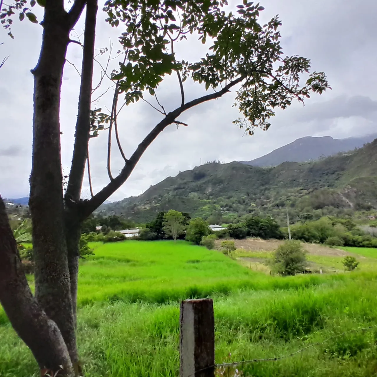 Lote Rural Choachi Cundinamarca - 2