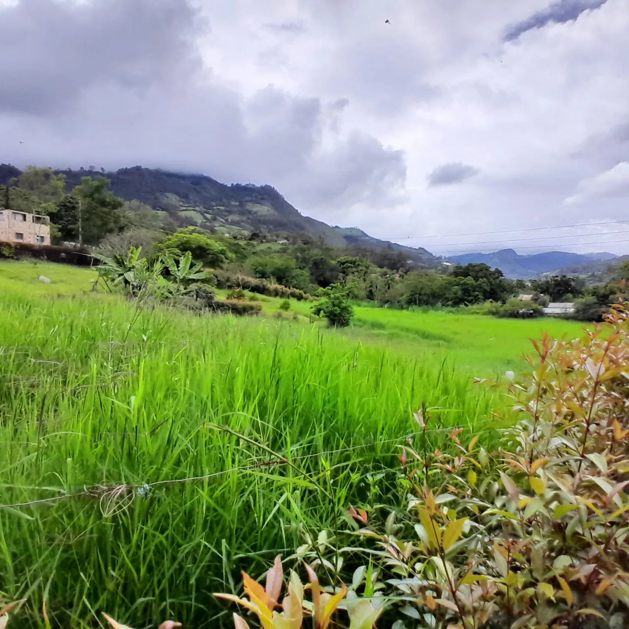 Lote Rural Choachi Cundinamarca - 7