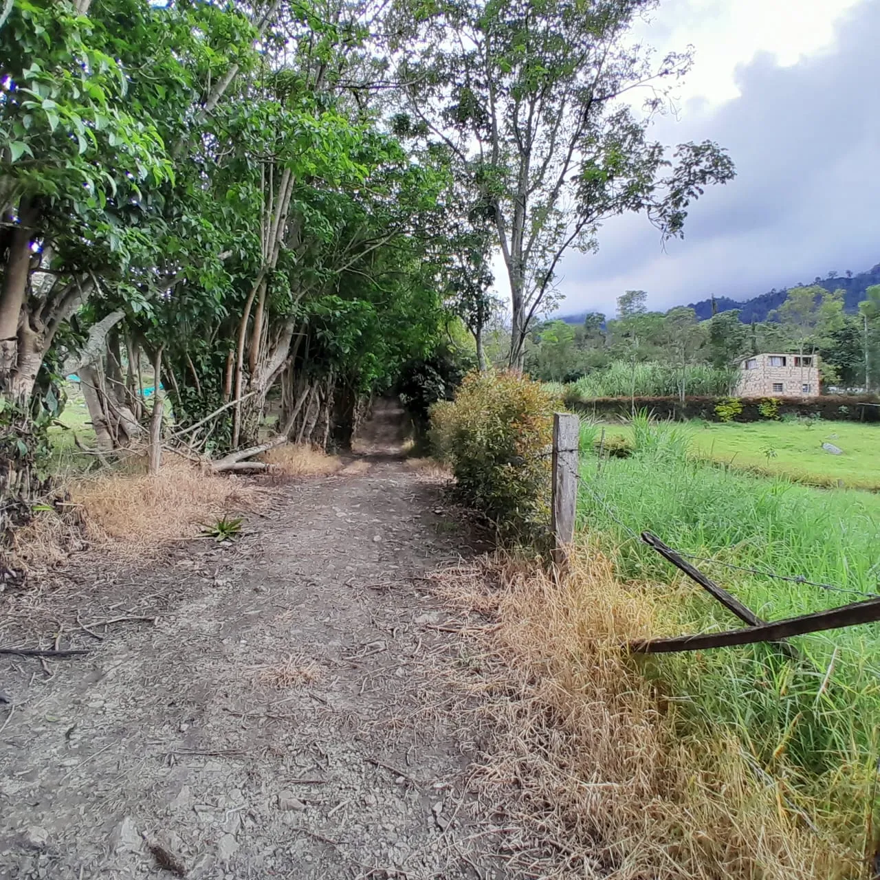 Lote Rural Choachi Cundinamarca - 6
