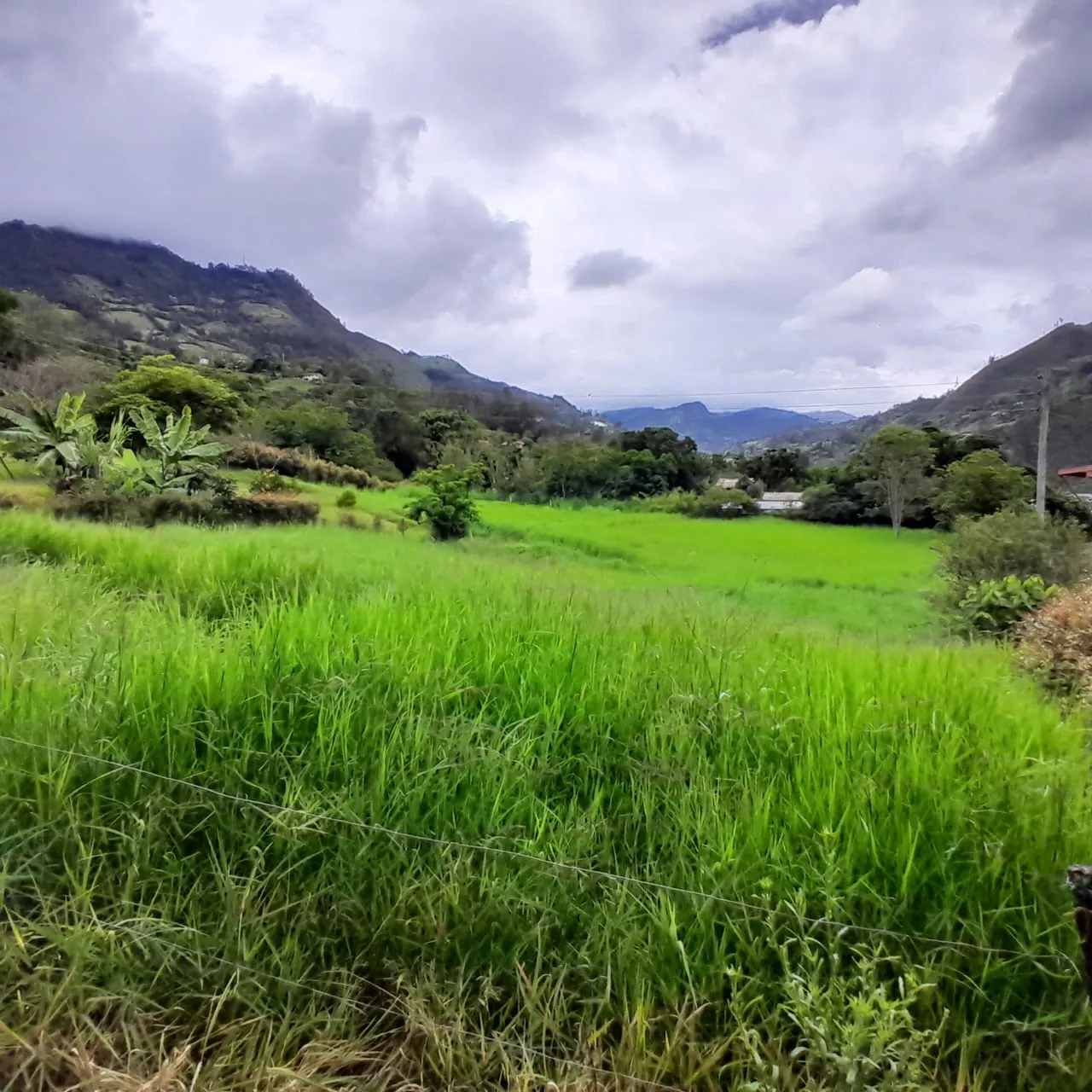 Lote Rural Choachi Cundinamarca - 8