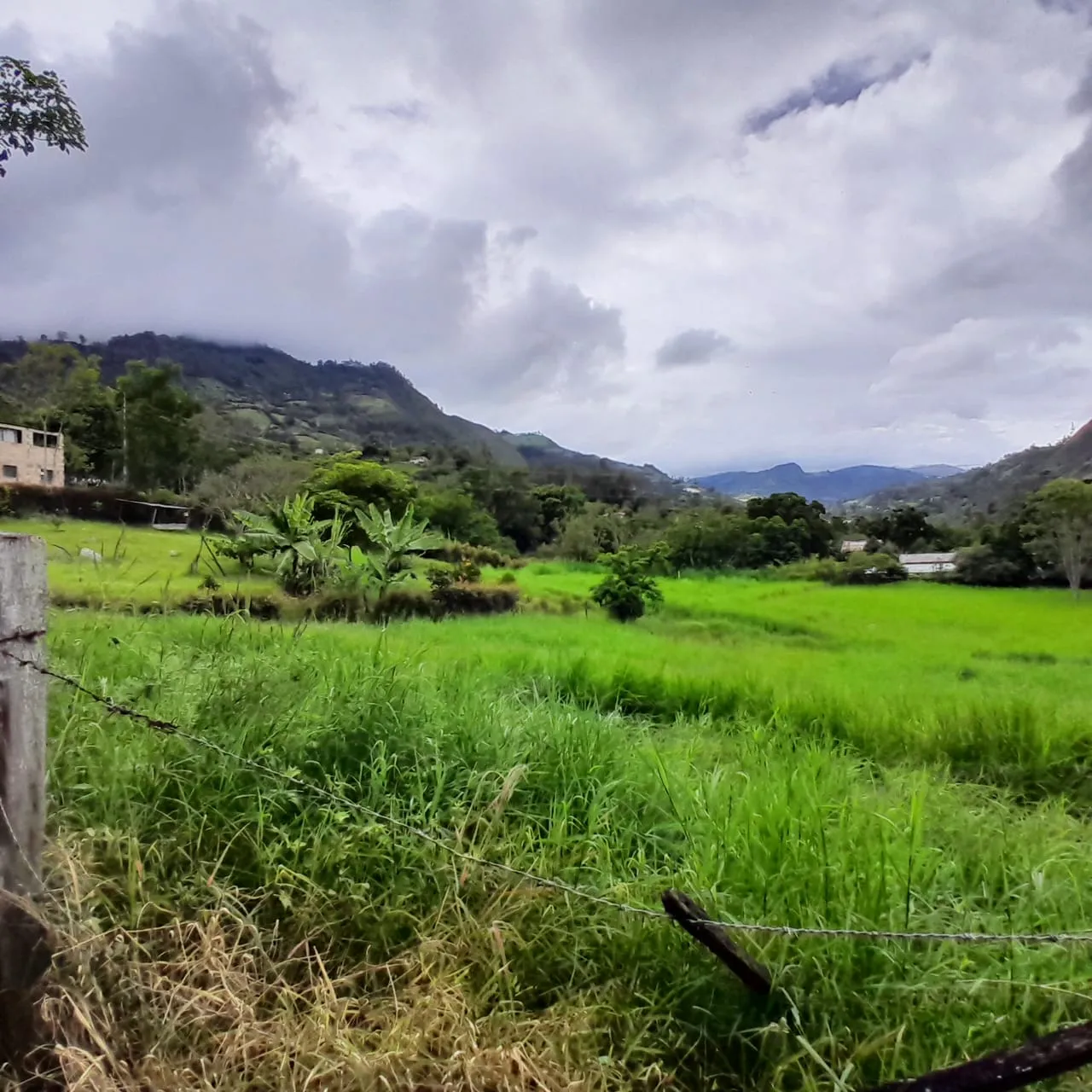 Lote Rural Choachi Cundinamarca - 5