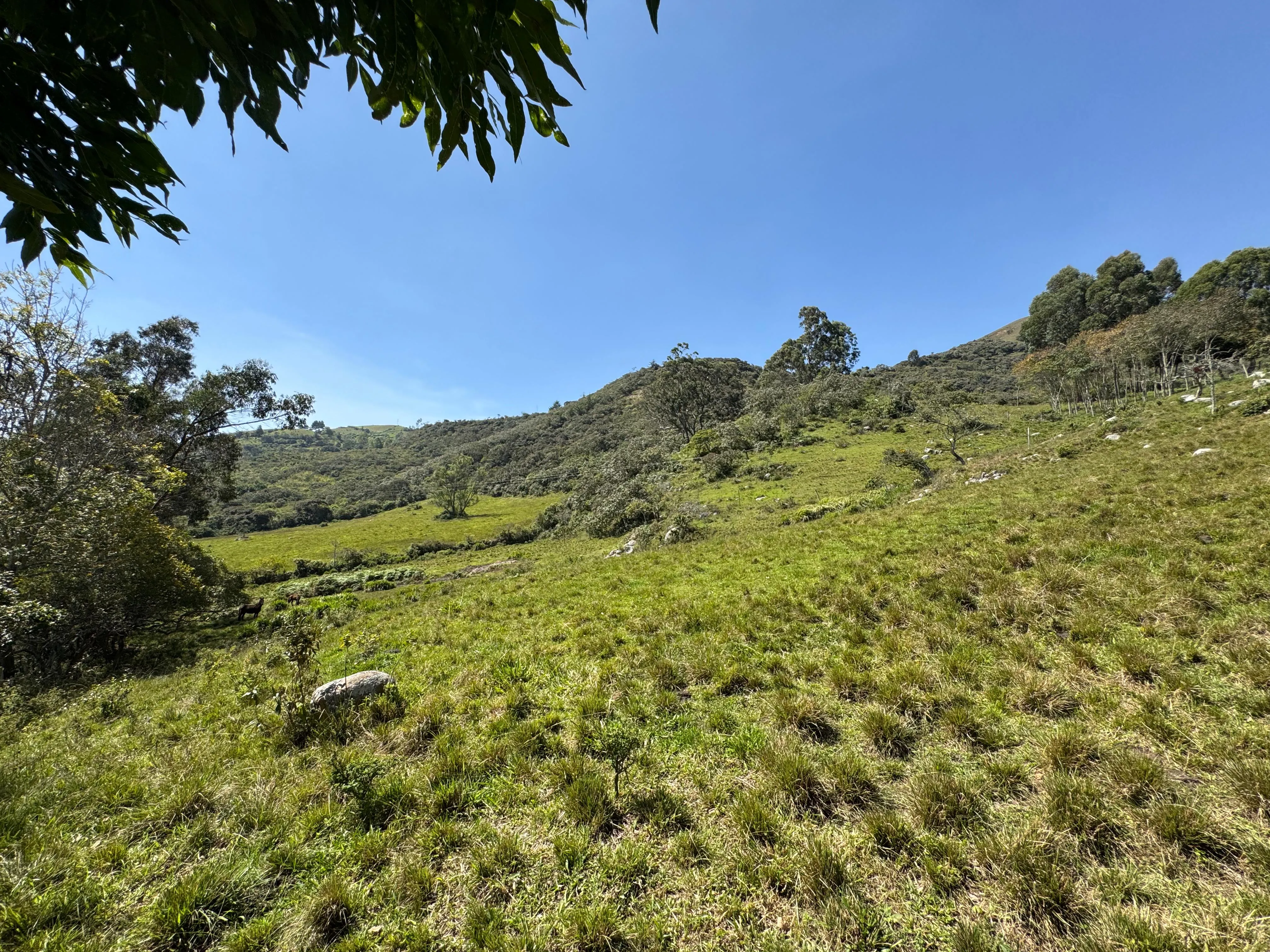 Venta Lote Rural, Ubaque, Vereda San Agustin - 7