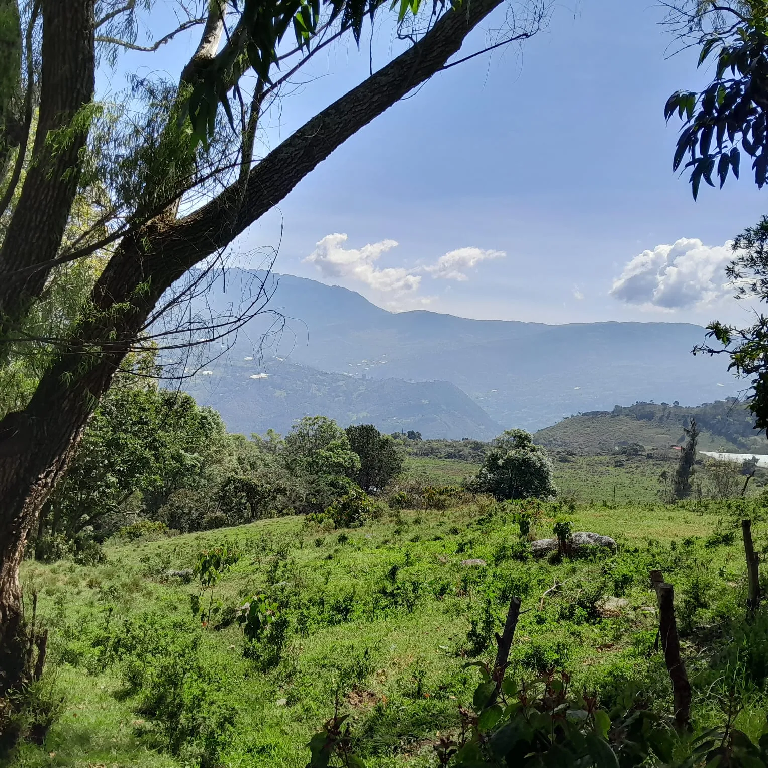 Venta Lote Rural, Ubaque, Vereda San Agustin - 3