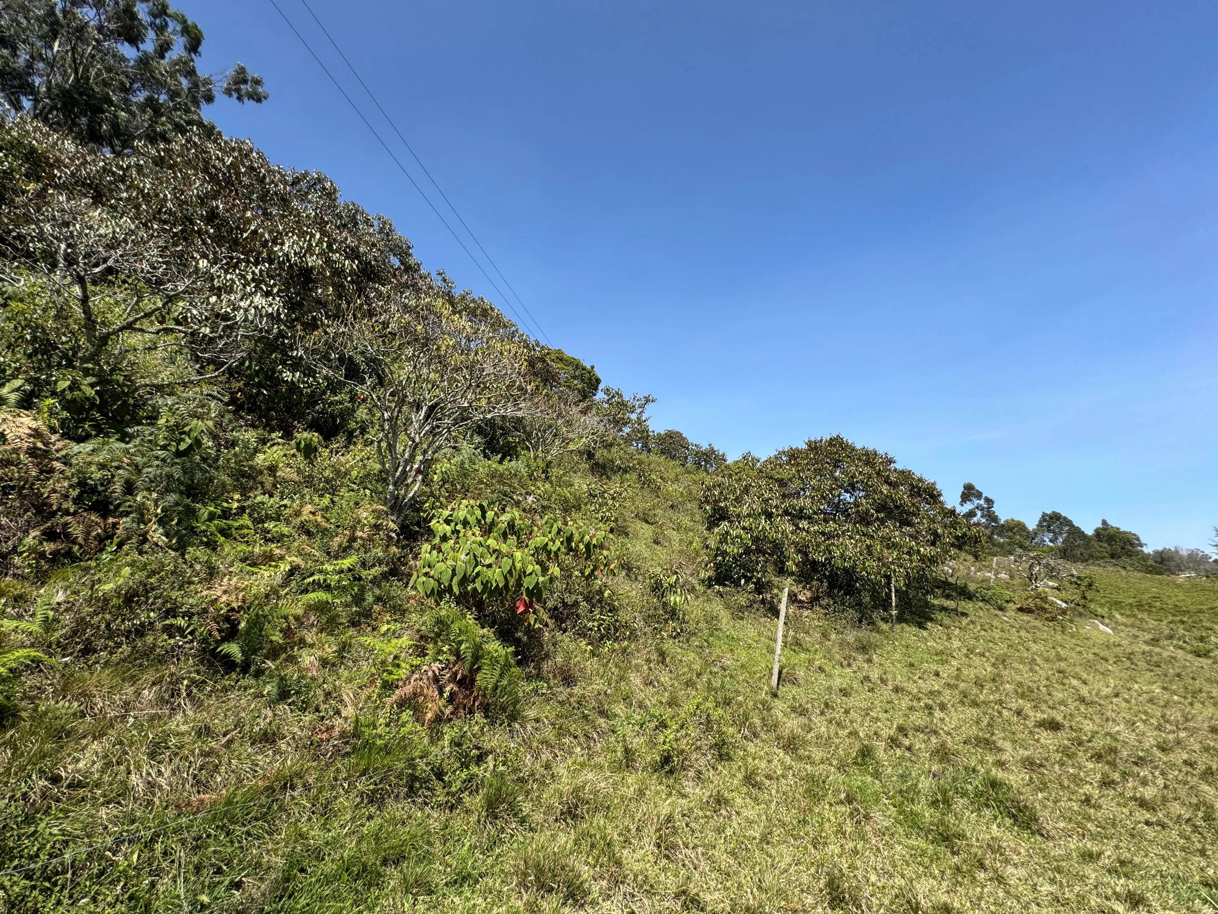 Venta Lote Rural, Ubaque, Vereda San Agustin - 6