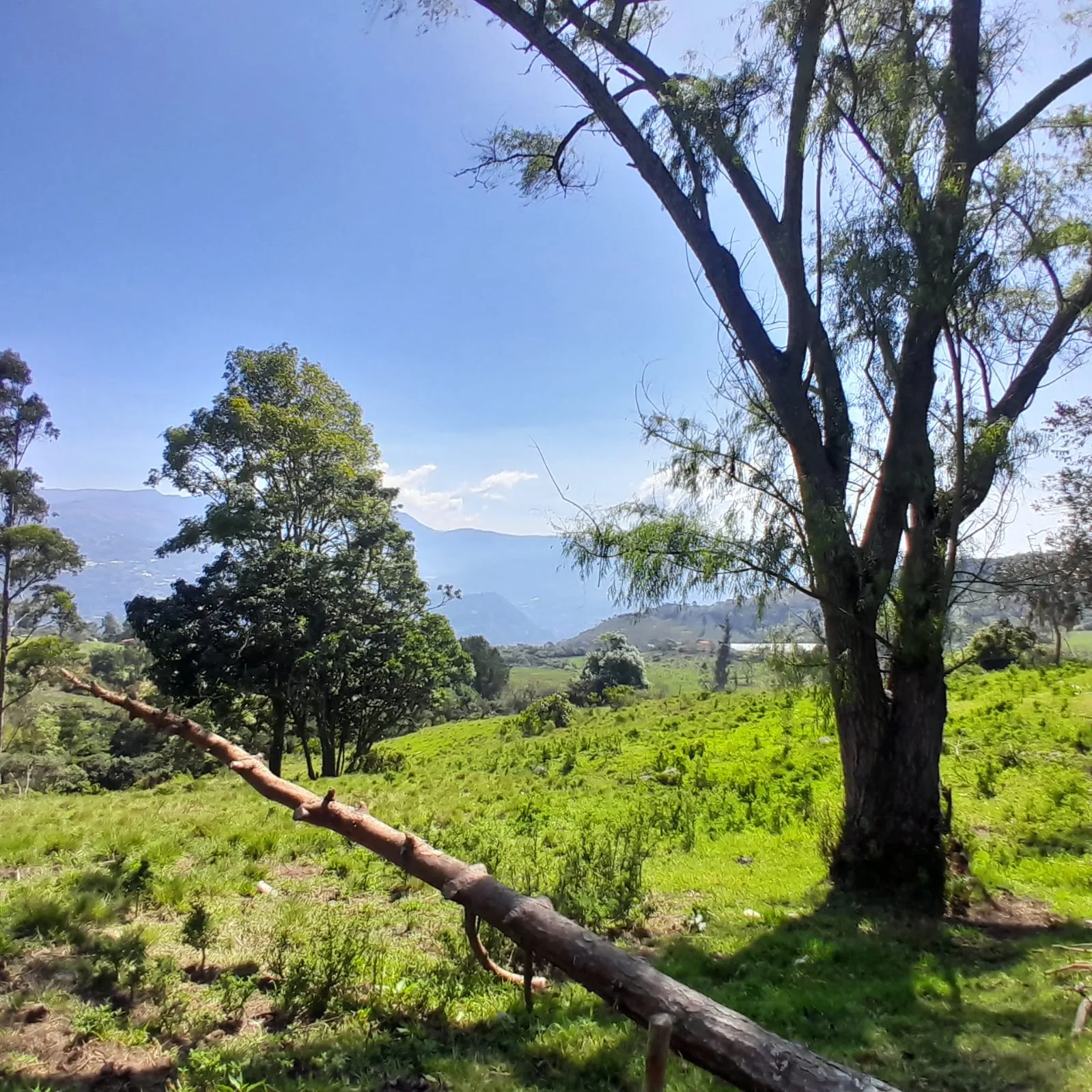 Venta Lote Rural, Ubaque, Vereda San Agustin - 2