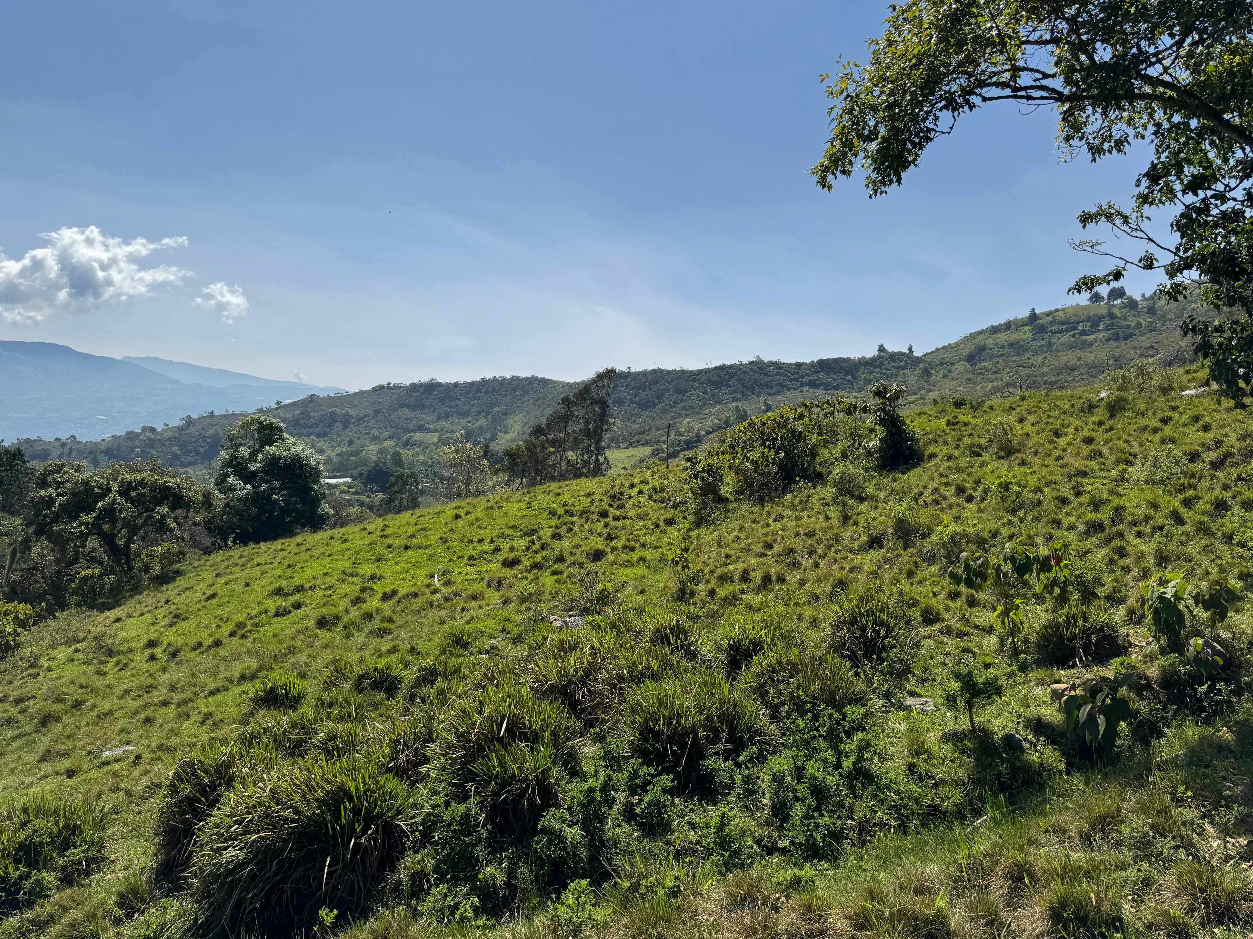 Venta Lote Rural, Ubaque, Vereda San Agustin - 8