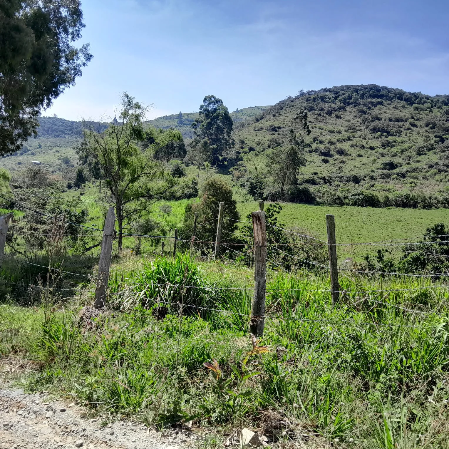Venta Lote Rural, Ubaque, Vereda San Agustin - 1