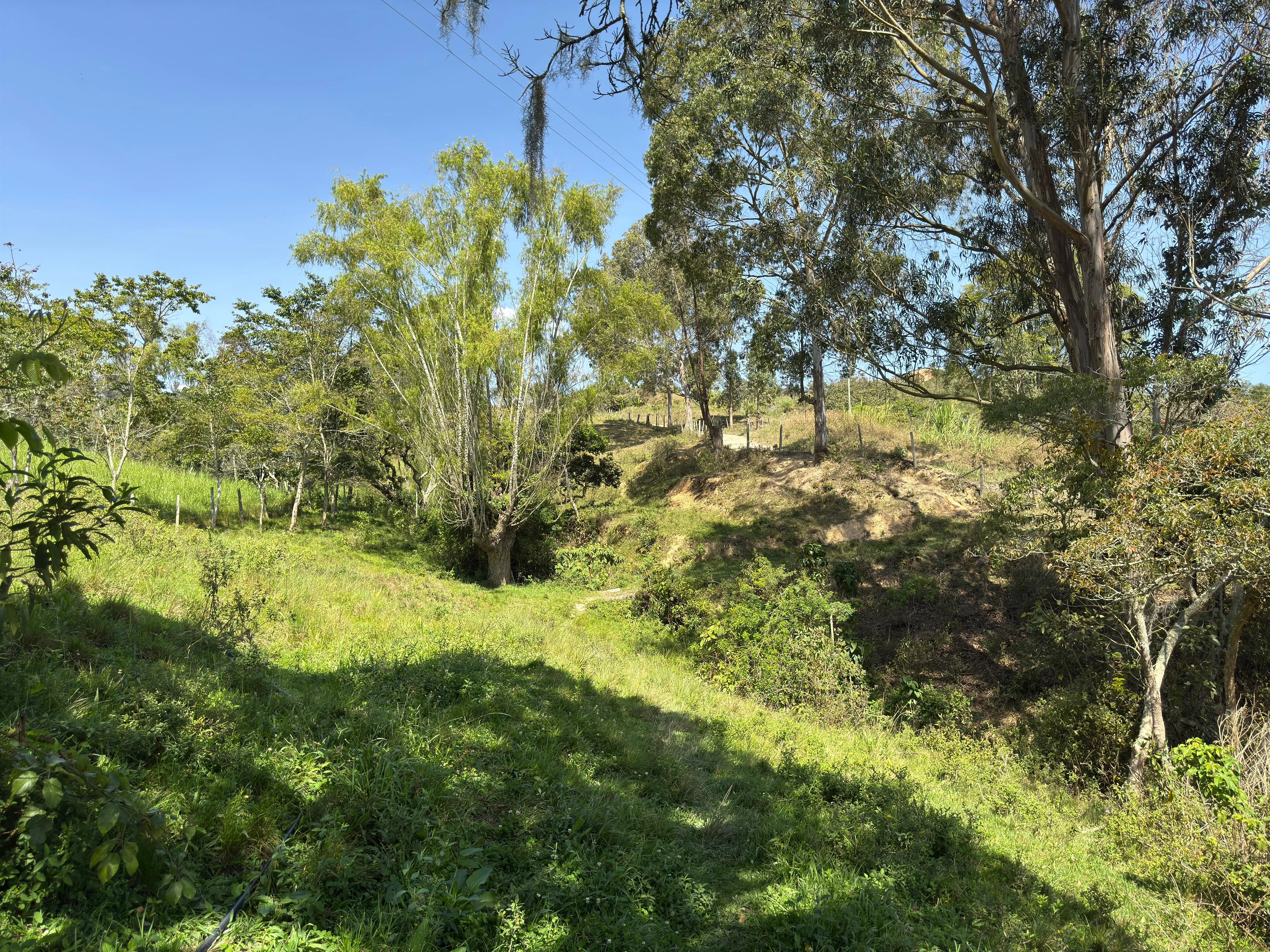 Venta Lote Rural, Ubaque, Vereda San Agustin - 9