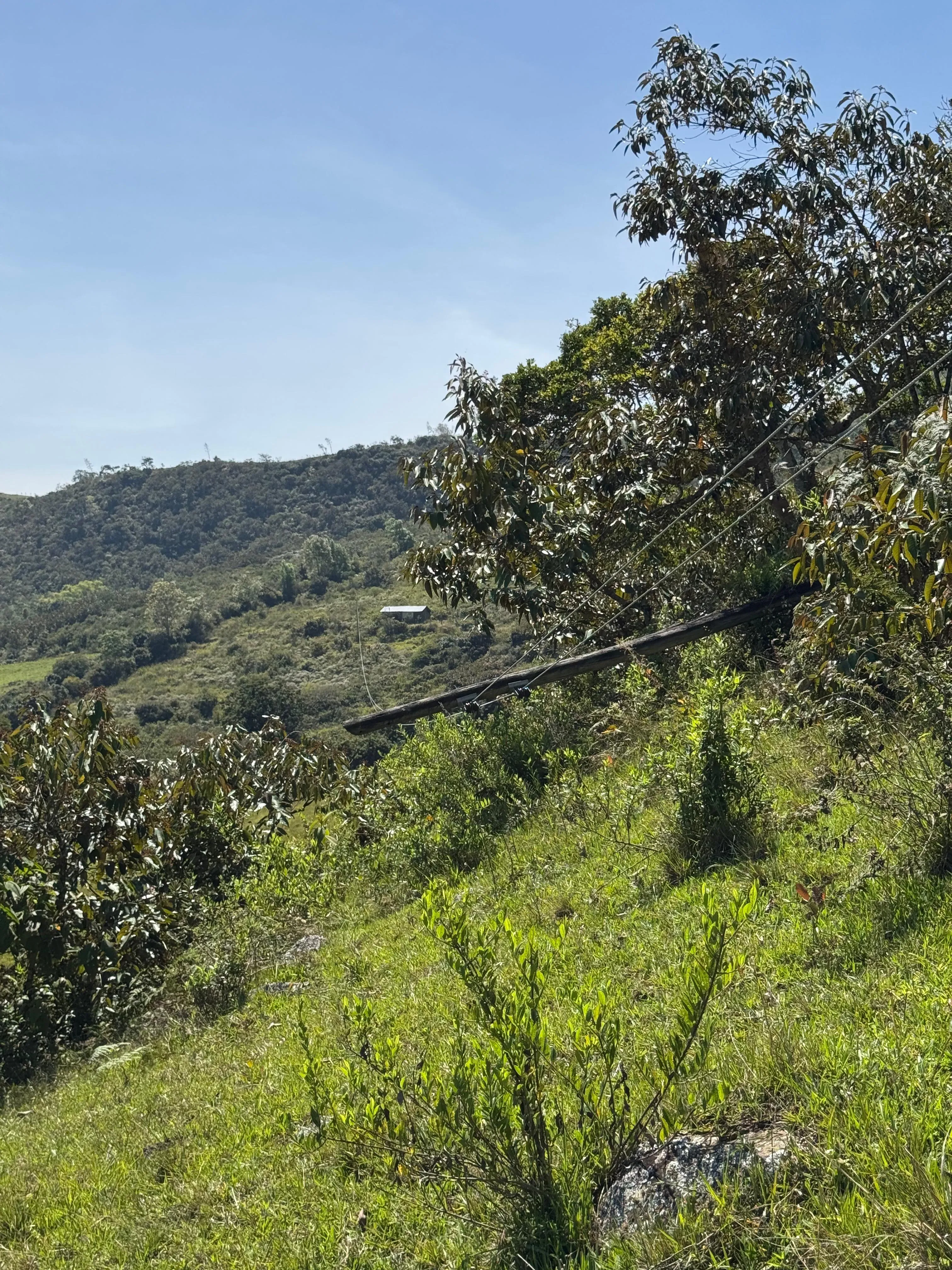 Venta Lote Rural, Ubaque, Vereda San Agustin - 4