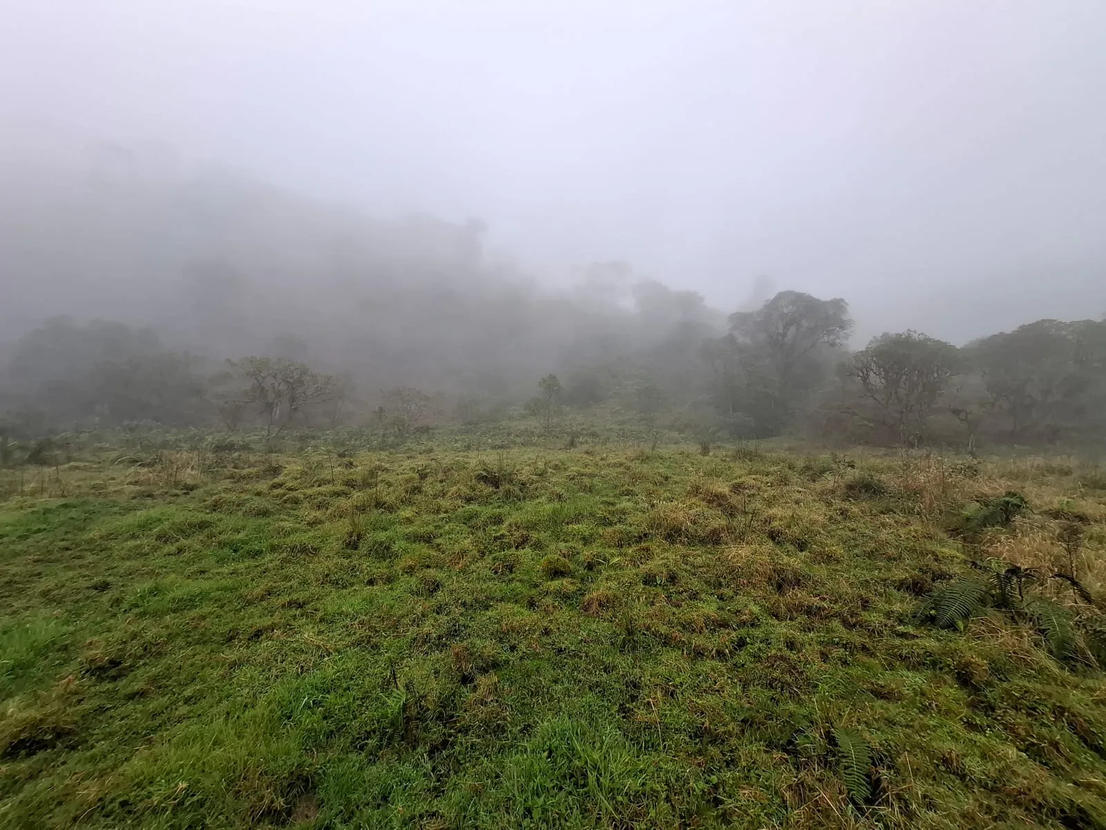 Vento Terreno en Fómeque Cundinamarca - 9