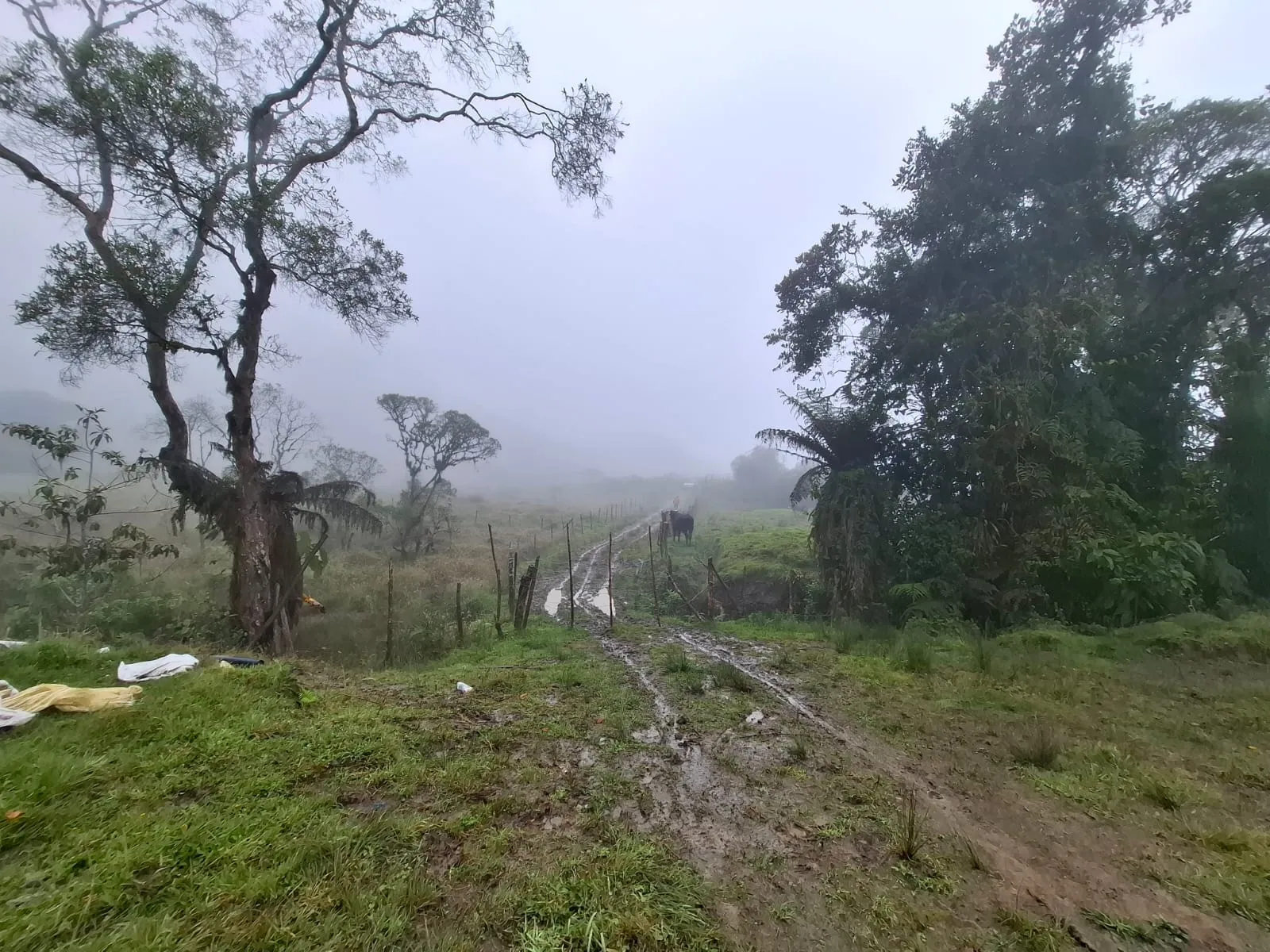 Vento Terreno en Fómeque Cundinamarca - 13