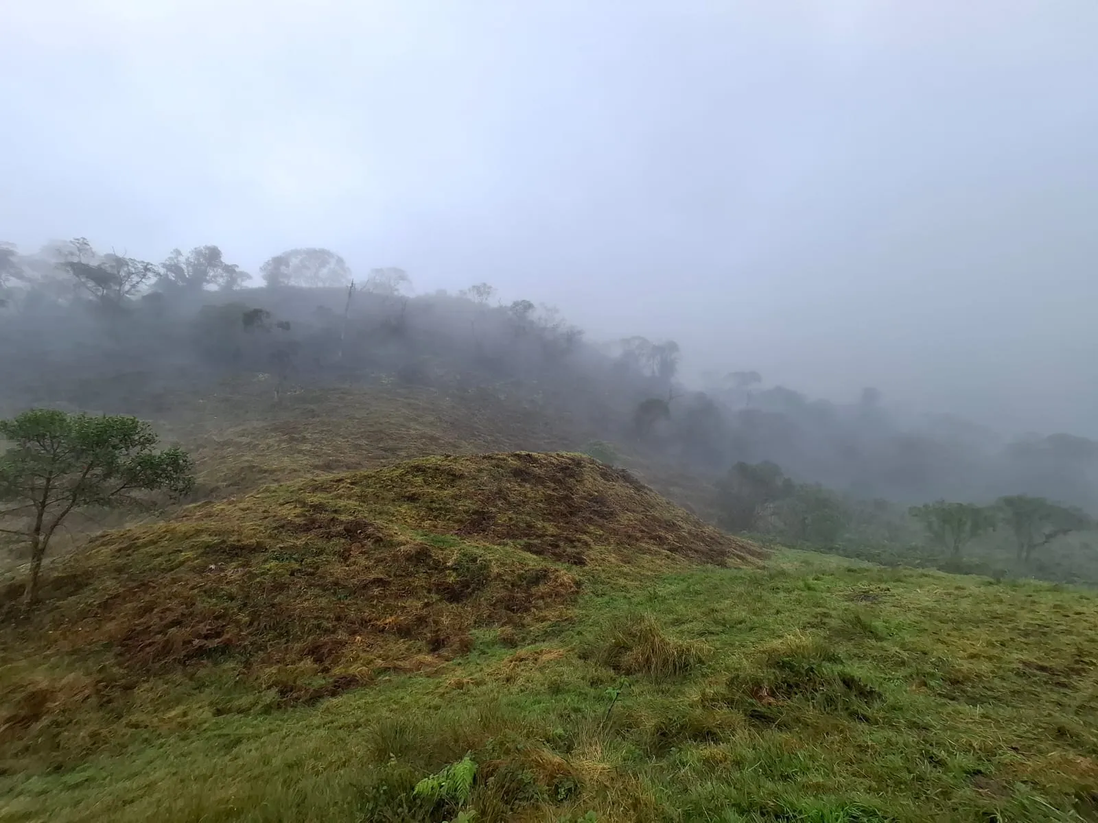 Vento Terreno en Fómeque Cundinamarca - 6