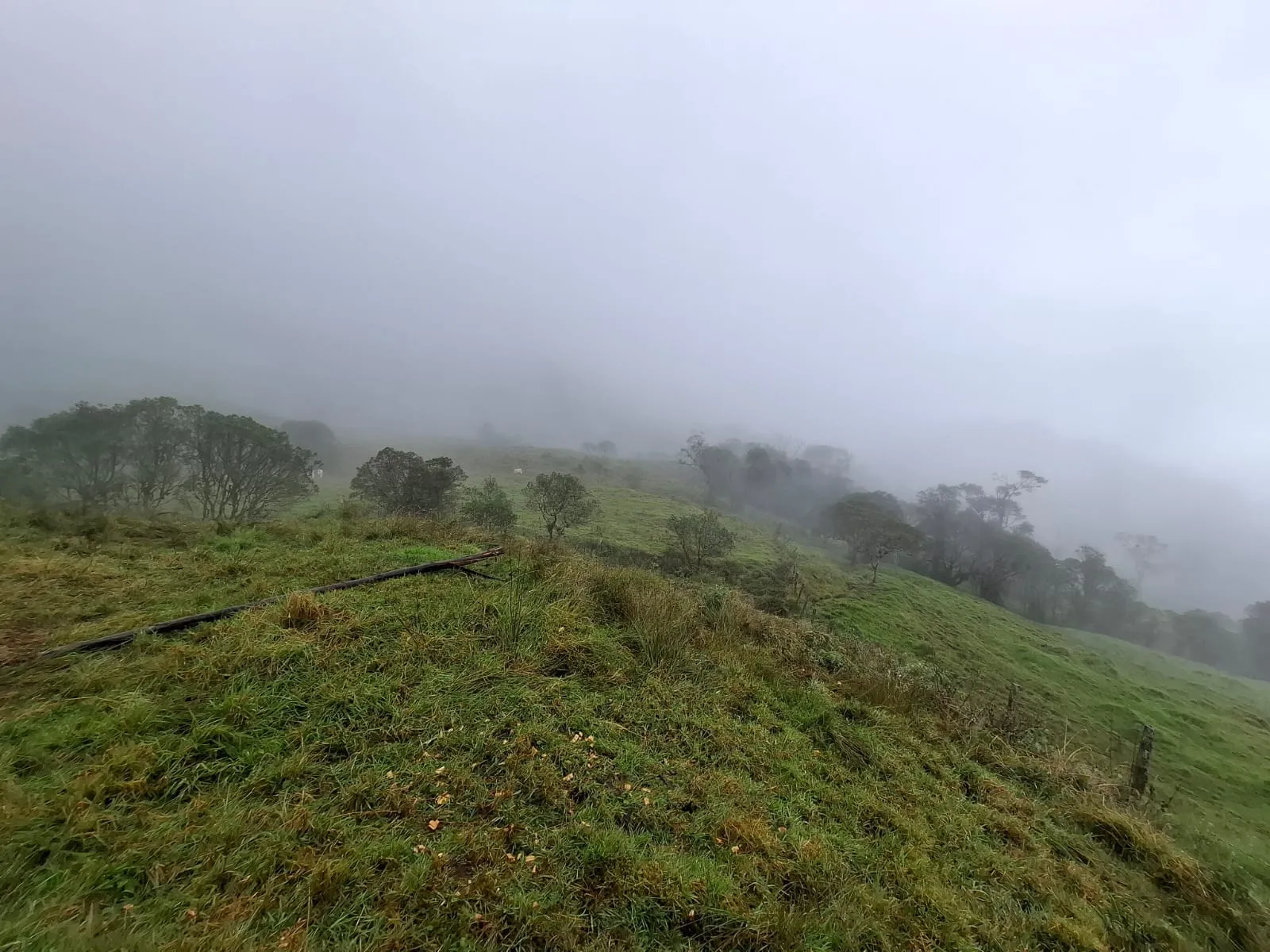 Vento Terreno en Fómeque Cundinamarca - 7