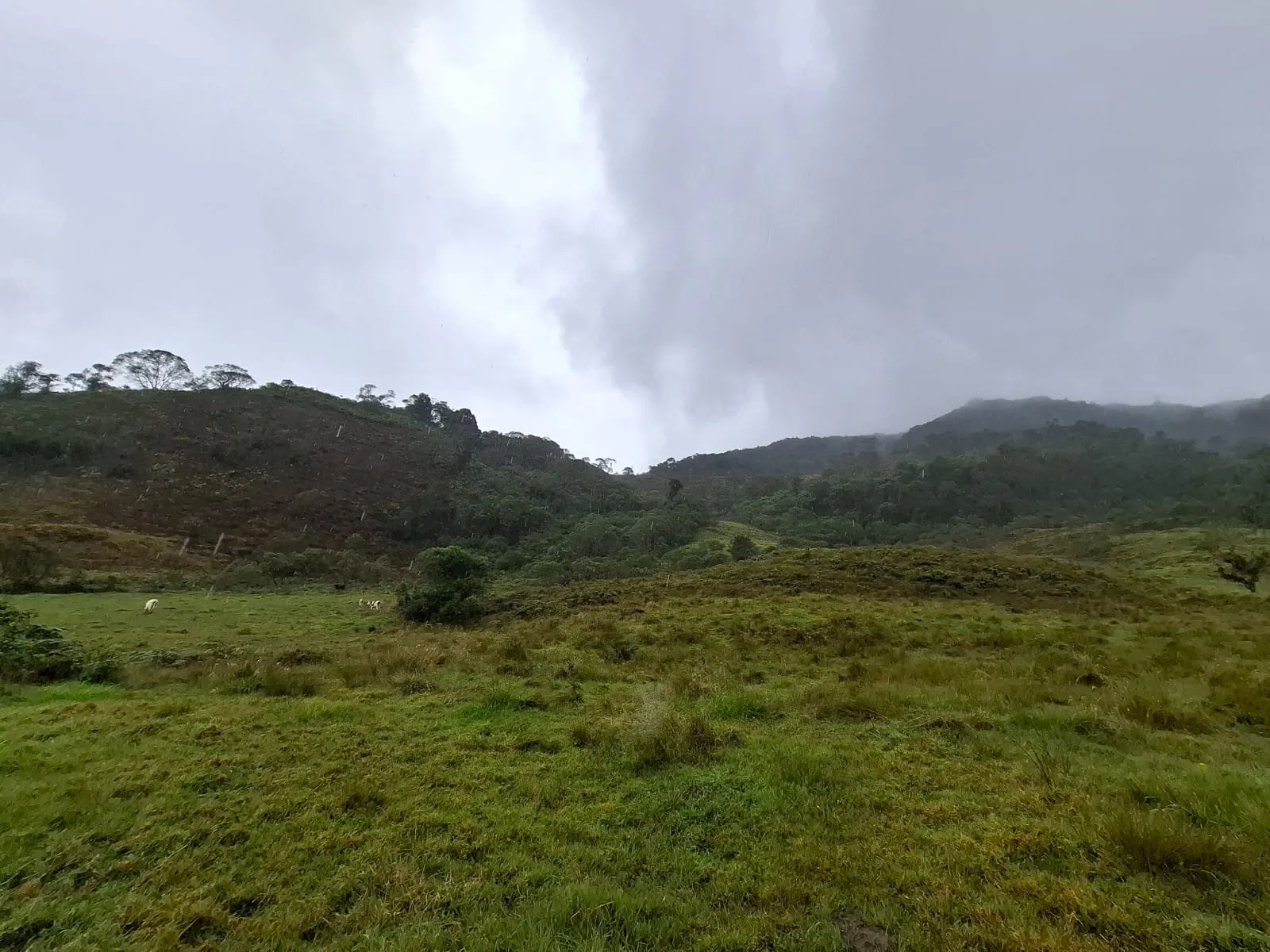 Vento Terreno en Fómeque Cundinamarca - 3
