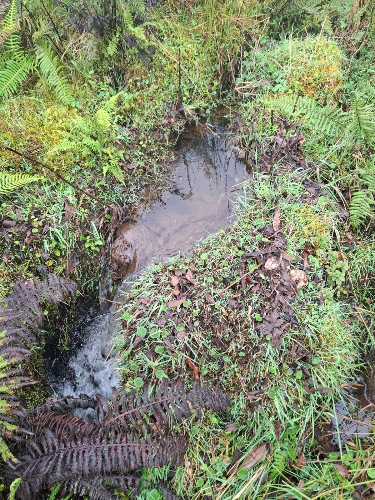 Vento Terreno en Fómeque Cundinamarca - 8