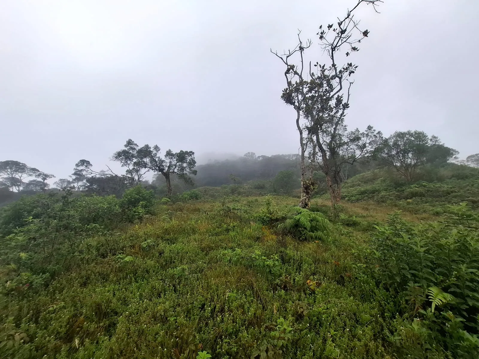 Vento Terreno en Fómeque Cundinamarca - 4