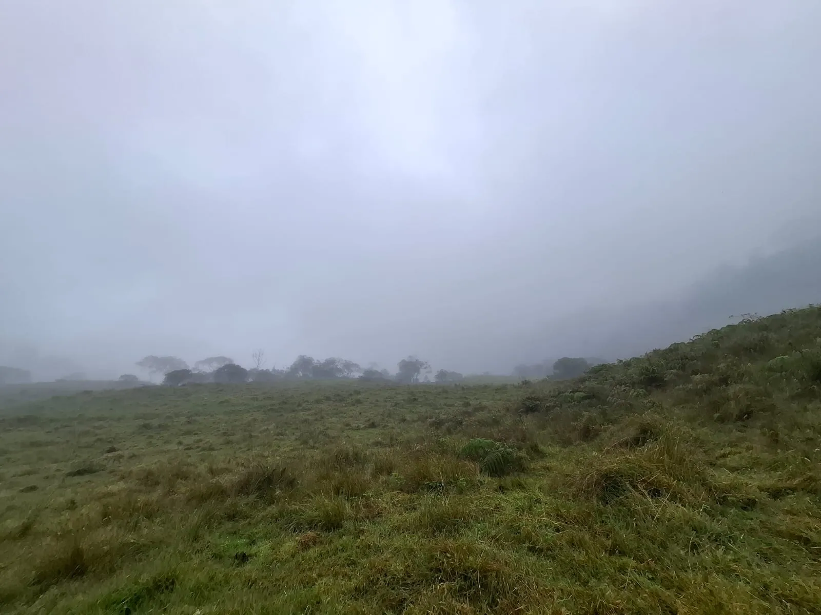 Vento Terreno en Fómeque Cundinamarca - 10