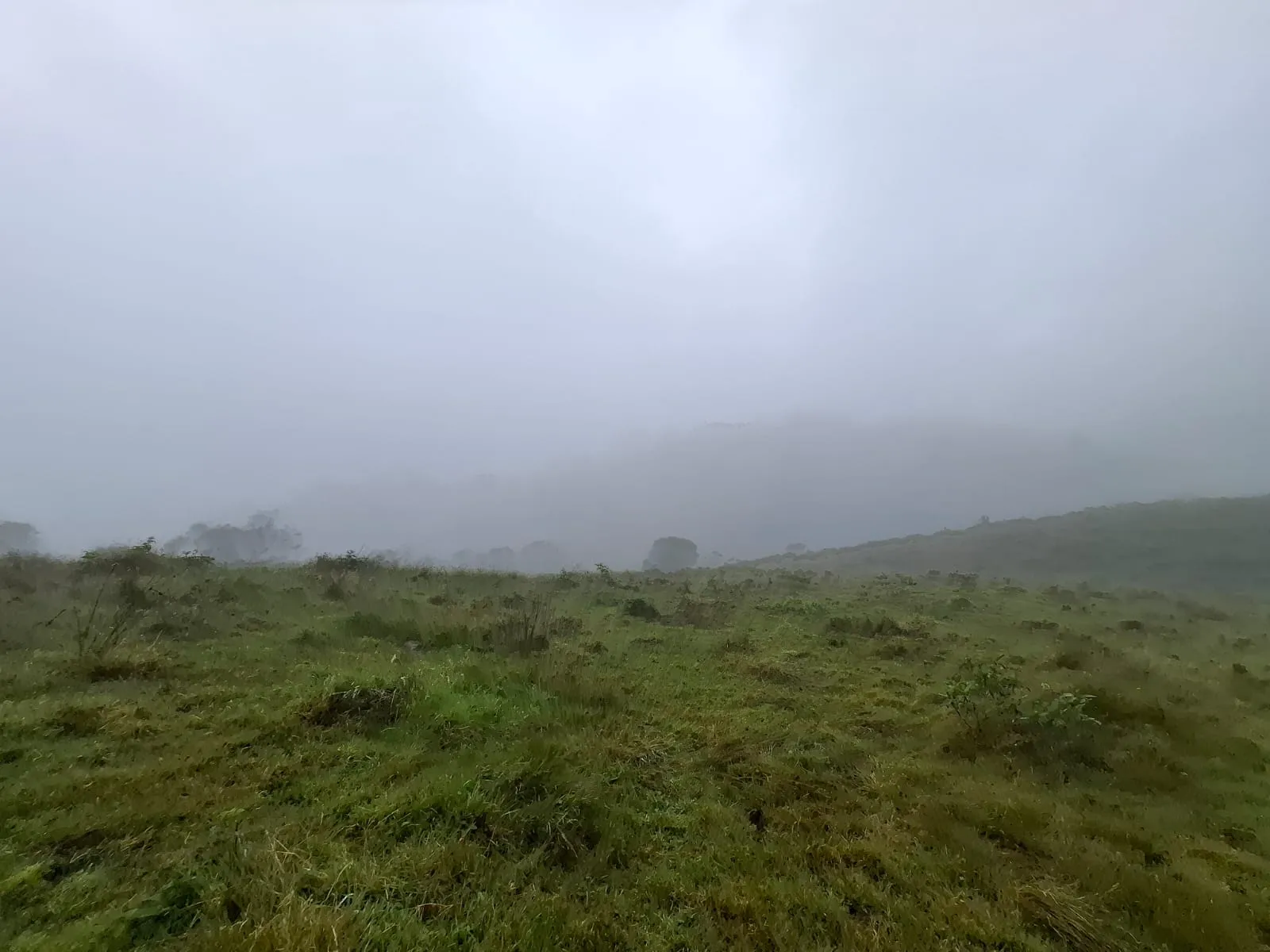 Vento Terreno en Fómeque Cundinamarca - 11