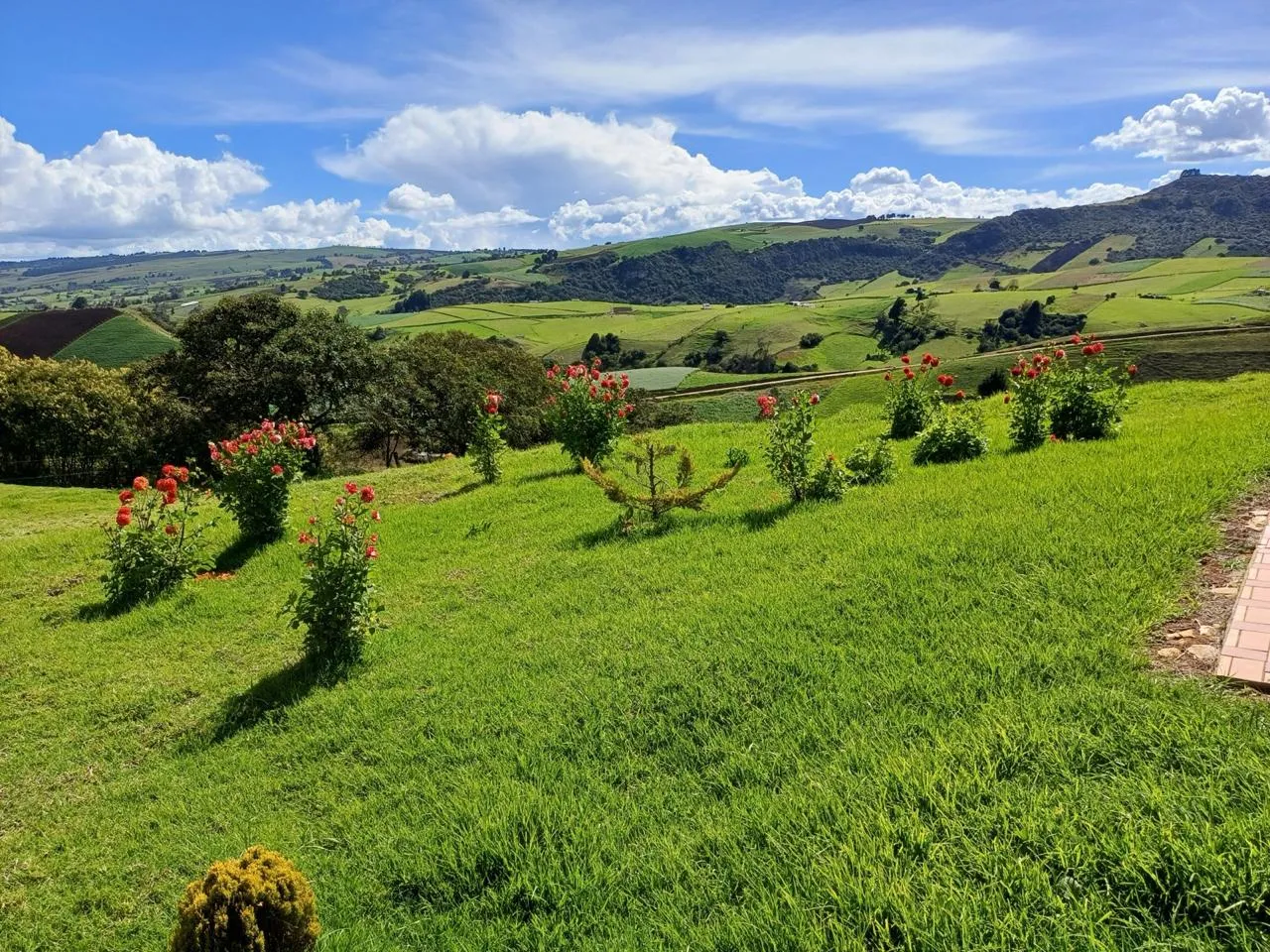 VENDO HERMOSA CASA DE CAMPO EN CHOCONTA - 17