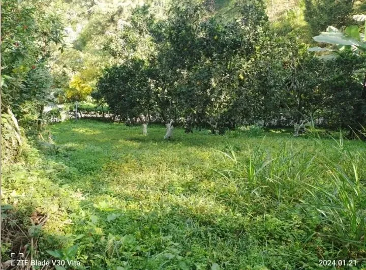 VENDO HERMOSA CASA DE CAMPO EN LA VEGA — foto 12