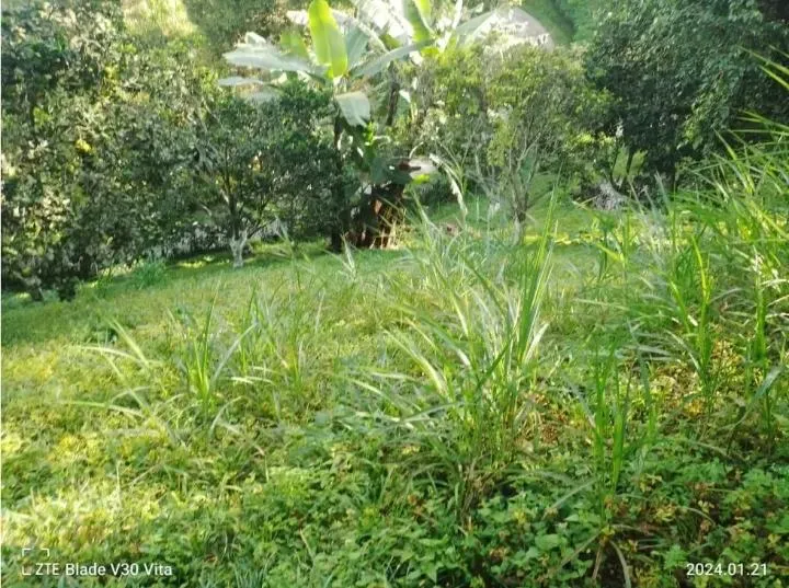 VENDO HERMOSA CASA DE CAMPO EN LA VEGA — foto 14