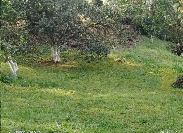 VENDO HERMOSA CASA DE CAMPO EN LA VEGA — foto 15