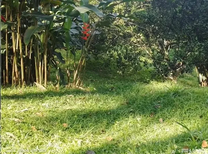 VENDO HERMOSA CASA DE CAMPO EN LA VEGA — foto 10