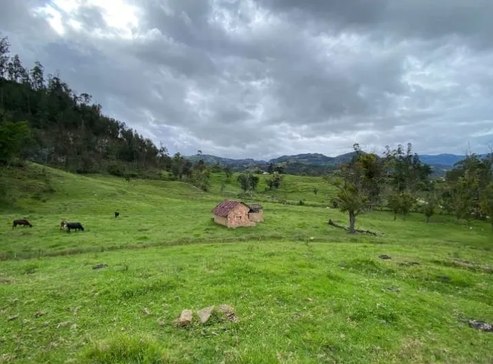 Se Vende Finca Productiva de 35.600 m² en Jenesano, Boyacá - 6