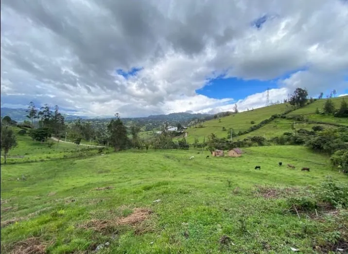 Se Vende Finca Productiva de 35.600 m² en Jenesano, Boyacá - 3