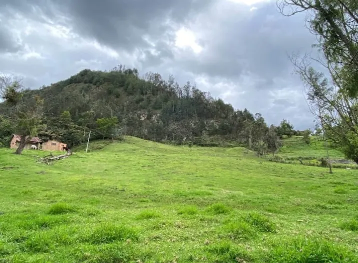 Se Vende Finca Productiva de 35.600 m² en Jenesano, Boyacá - 8