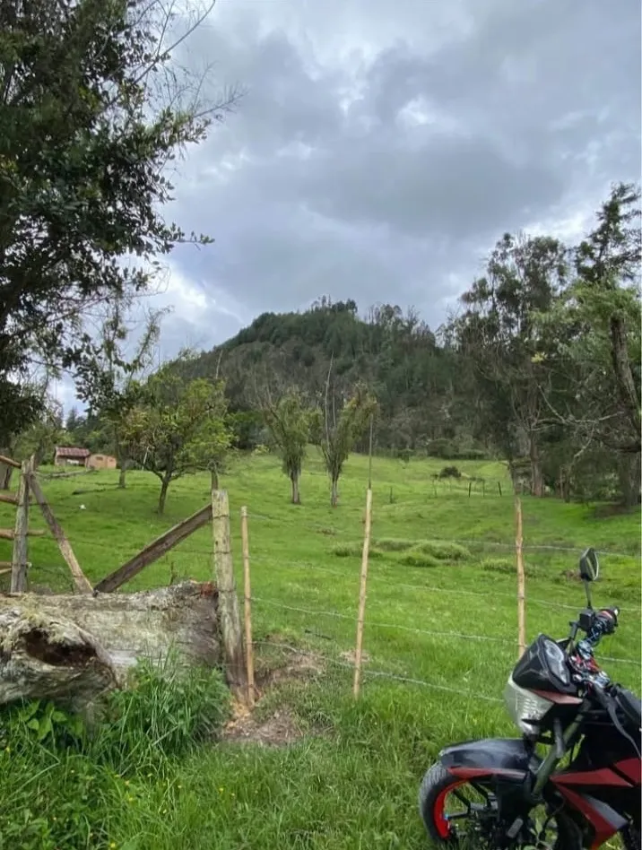 Se Vende Finca Productiva de 35.600 m² en Jenesano, Boyacá - 7