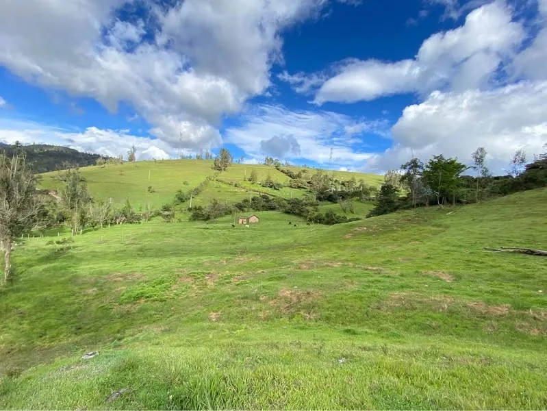 Se Vende Finca Productiva de 35.600 m² en Jenesano, Boyacá - 1