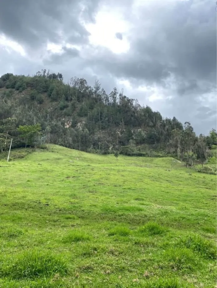 Se Vende Finca Productiva de 35.600 m² en Jenesano, Boyacá - 10