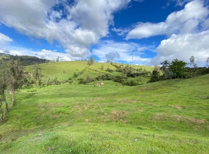 Se Vende Finca Productiva de 35.600 m² en Jenesano, Boyacá - 9