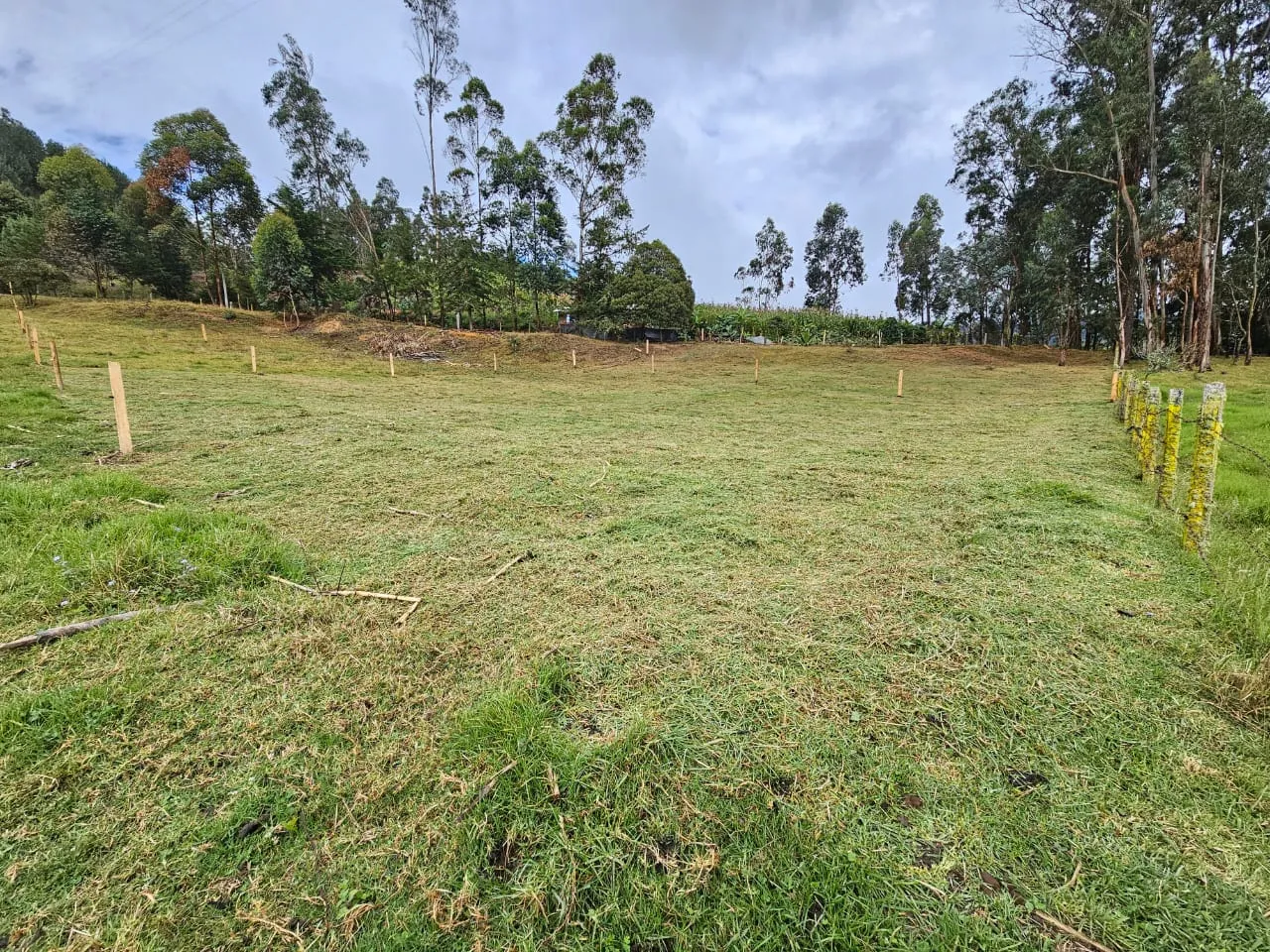 Lote en Venta en Jenesano, Boyacá de 1.588 m² a 1.4 km del Centro - 1
