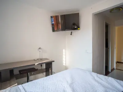 Miniatura 10
