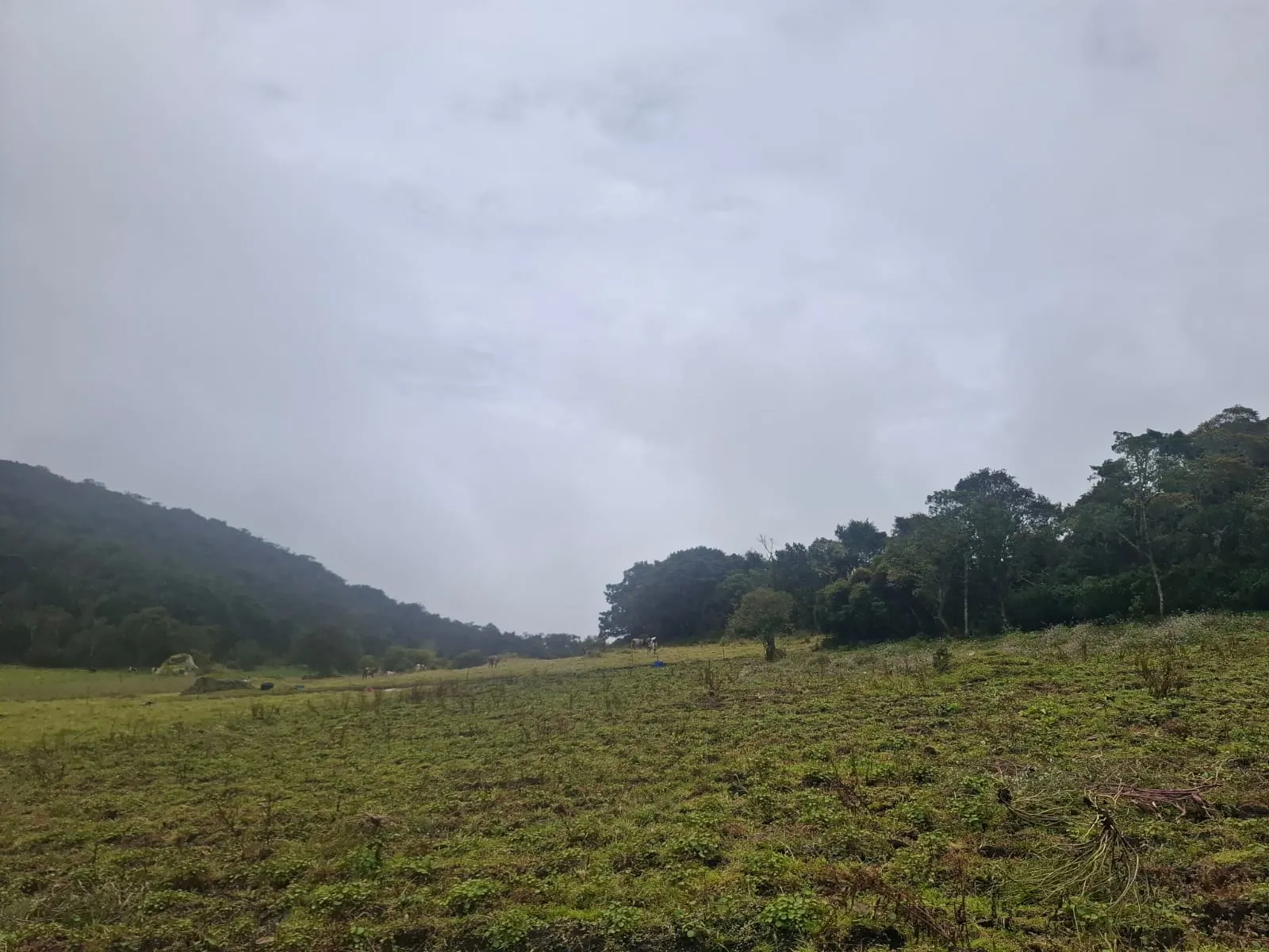 Vendo Terreno en Choachi, Cundinamarca, Colombia. - 11