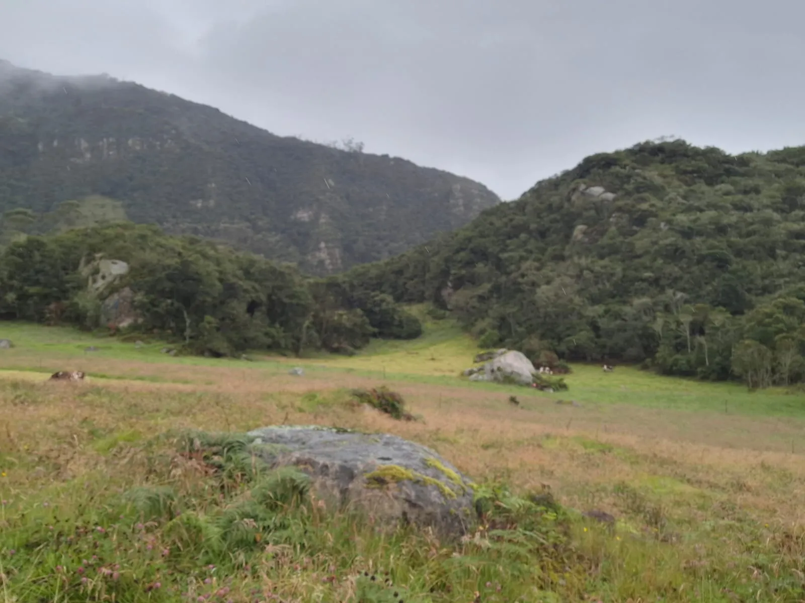Vendo Terreno en Choachi, Cundinamarca, Colombia. - 5