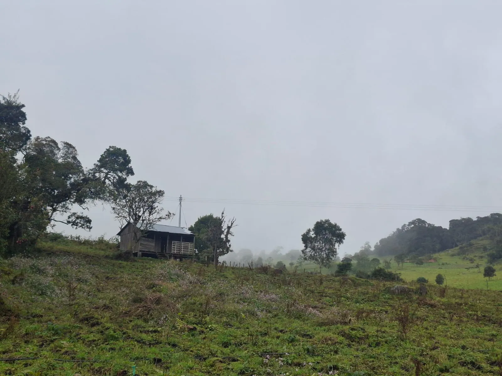 Vendo Terreno en Choachi, Cundinamarca, Colombia. - 8