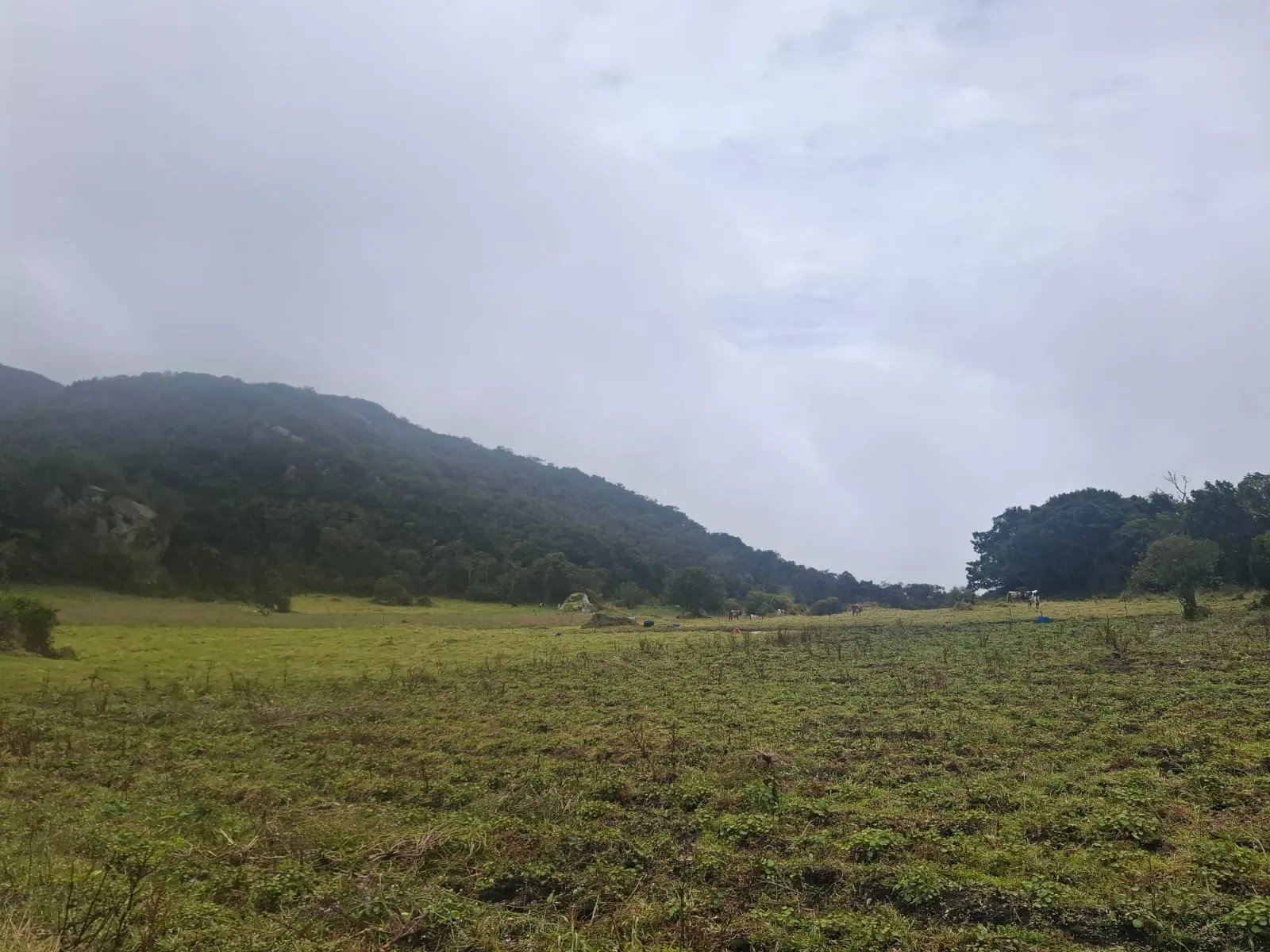 Vendo Terreno en Choachi, Cundinamarca, Colombia. - 13