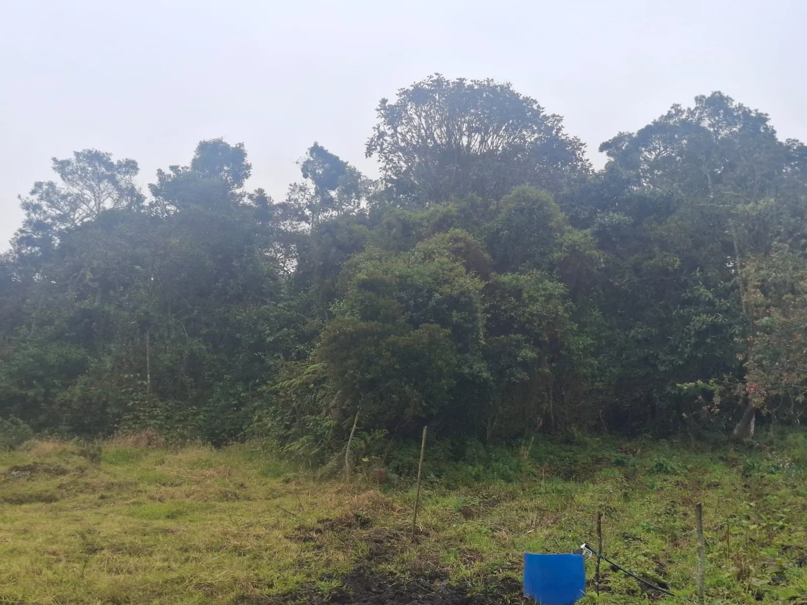 Vendo Terreno en Choachi, Cundinamarca, Colombia. - 9