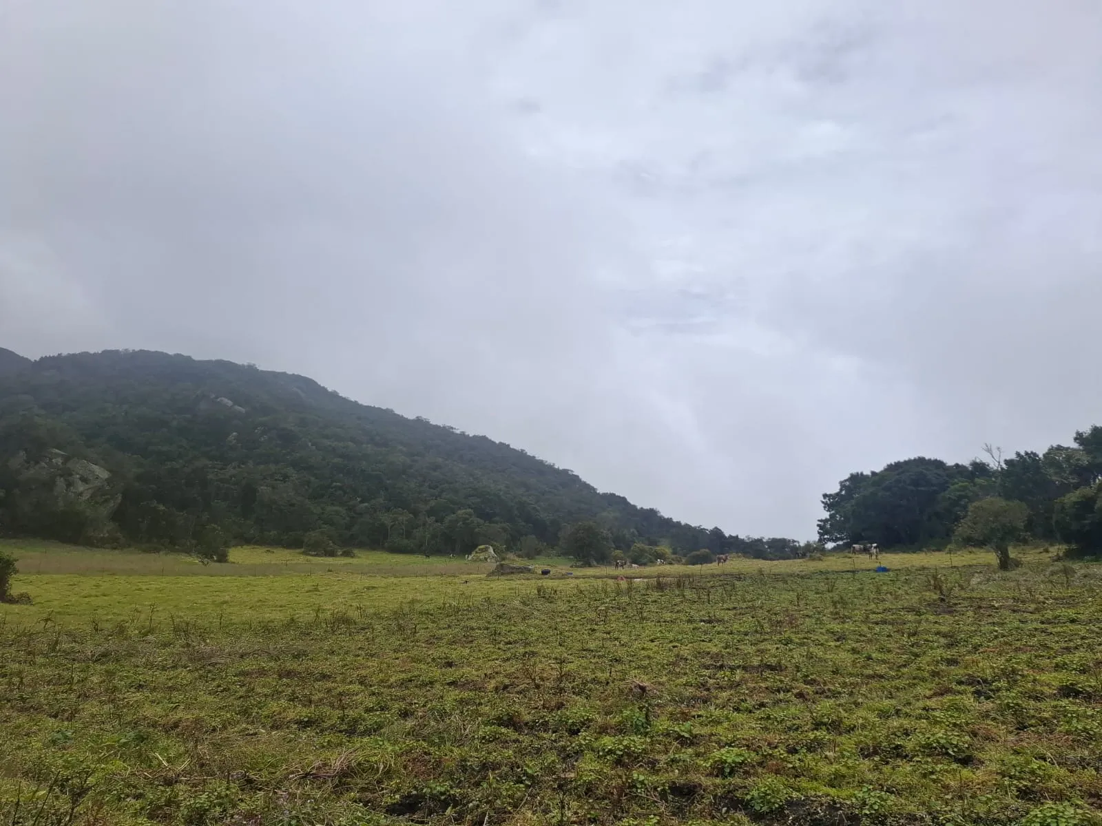 Vendo Terreno en Choachi, Cundinamarca, Colombia. - 10