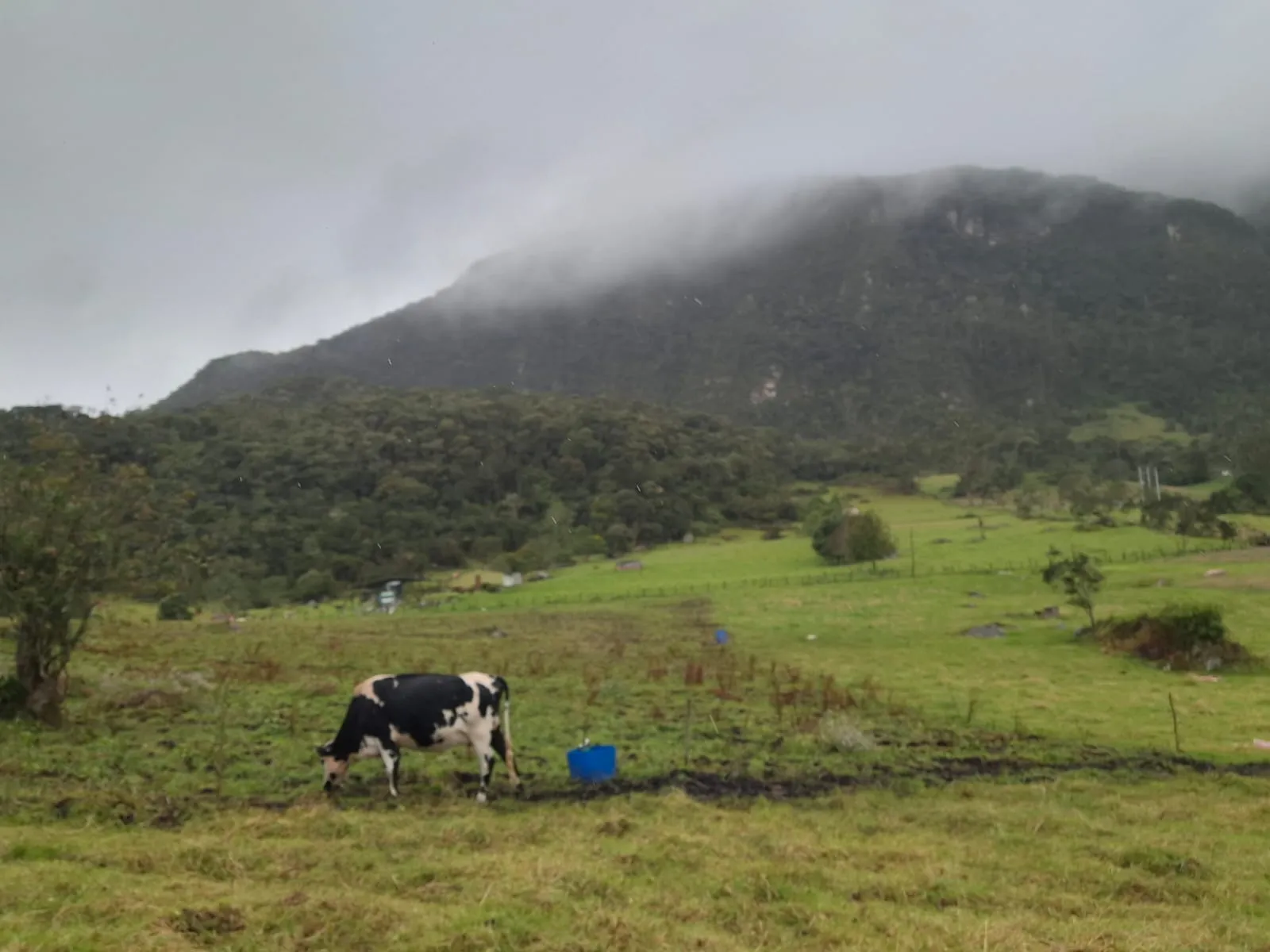 Vendo Terreno en Choachi, Cundinamarca, Colombia. - 3