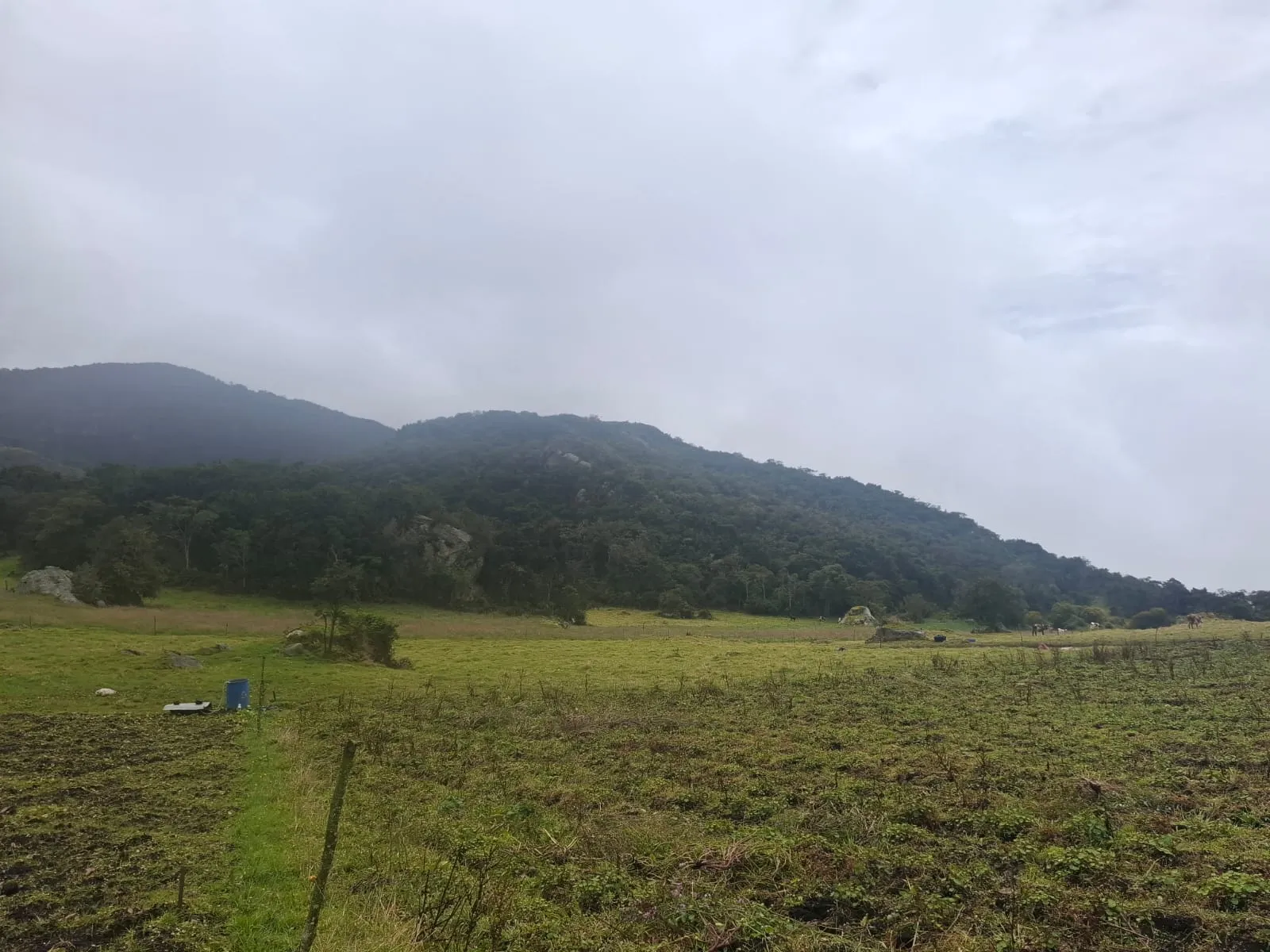 Vendo Terreno en Choachi, Cundinamarca, Colombia. - 14