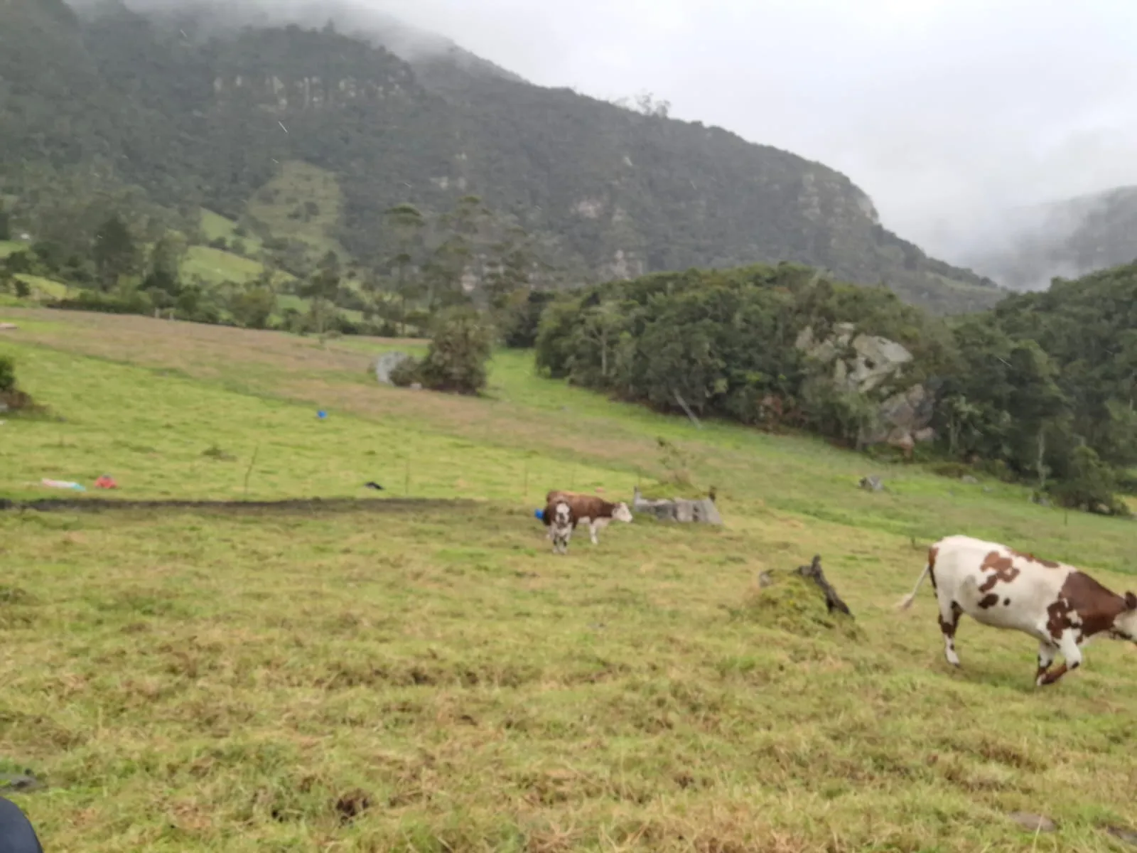 Vendo Terreno en Choachi, Cundinamarca, Colombia. - 2