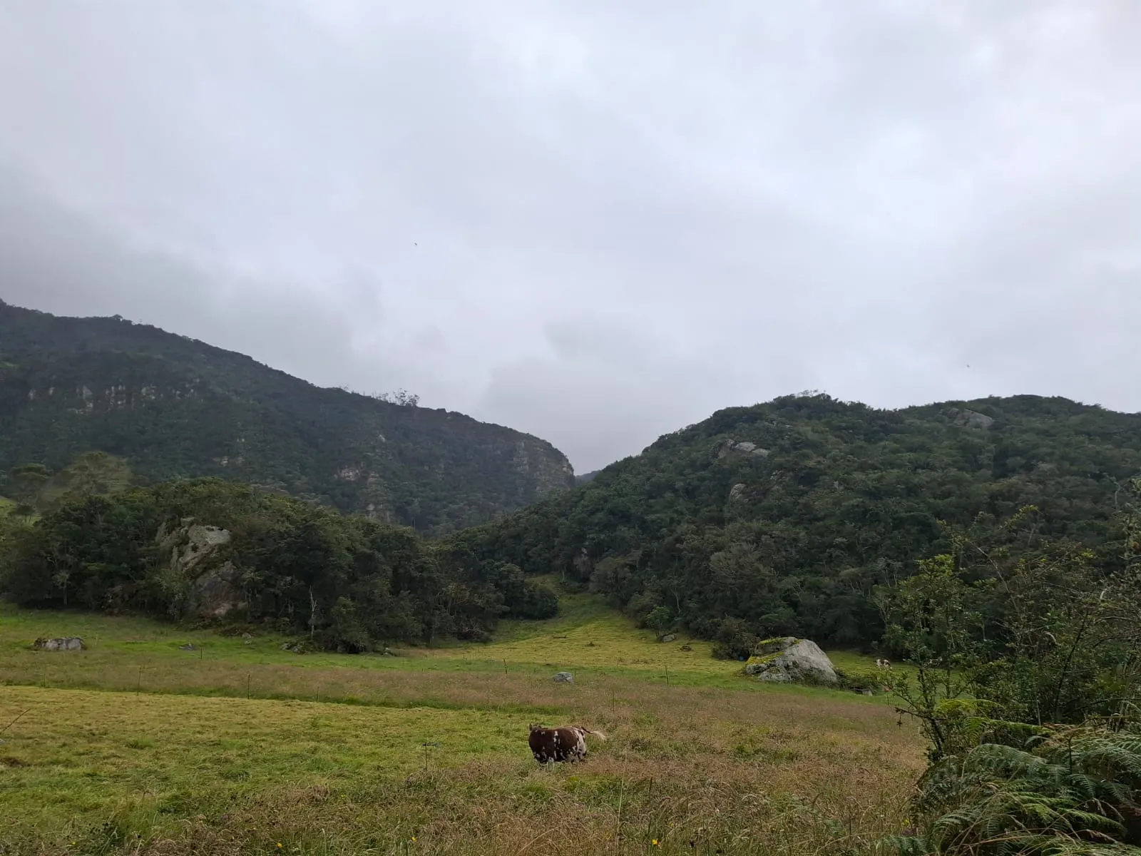 Vendo Terreno en Choachi, Cundinamarca, Colombia. - 7